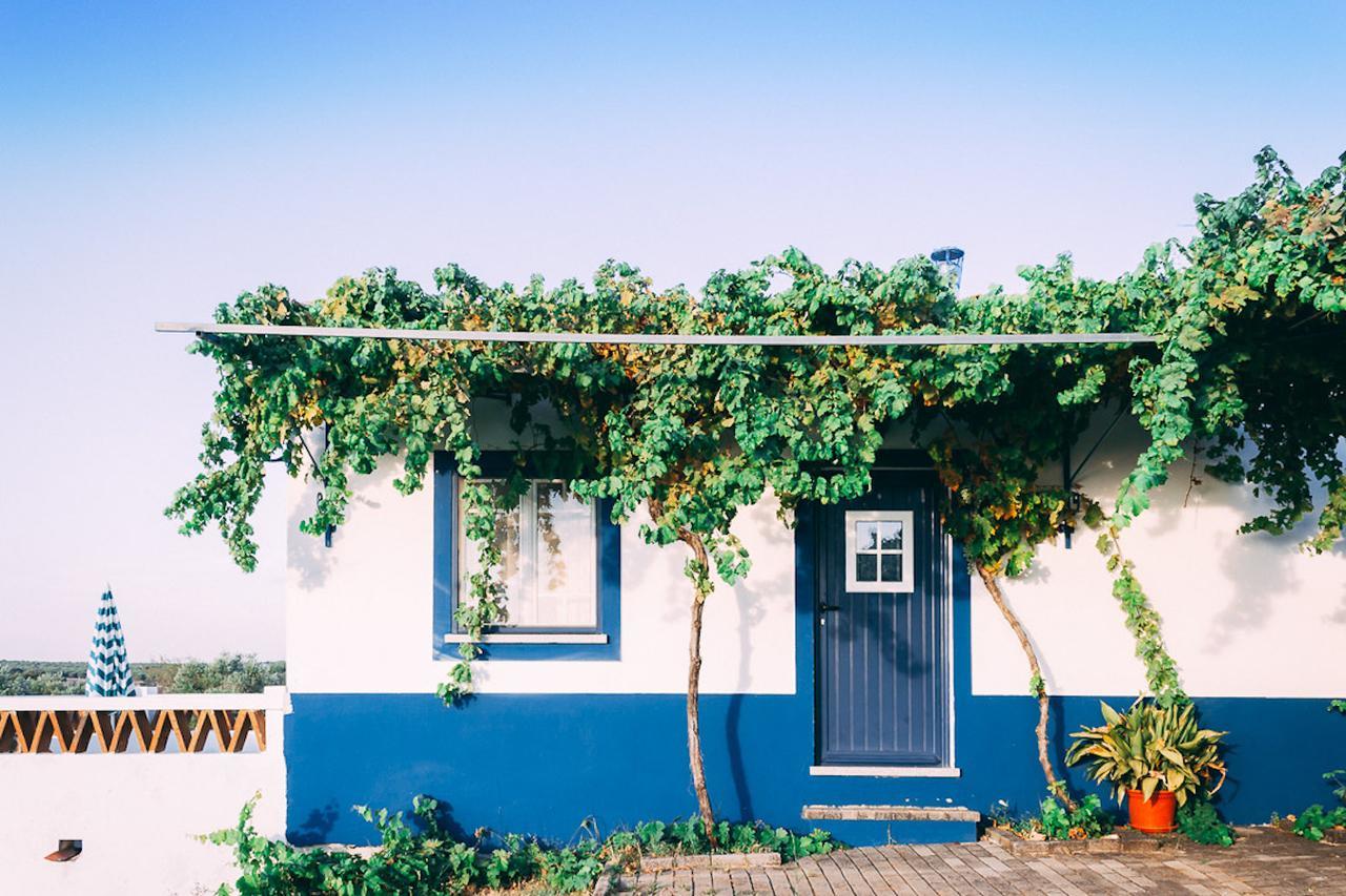 Monte Do Colmeal - Country House & Wine Guest House Mourao Exterior photo